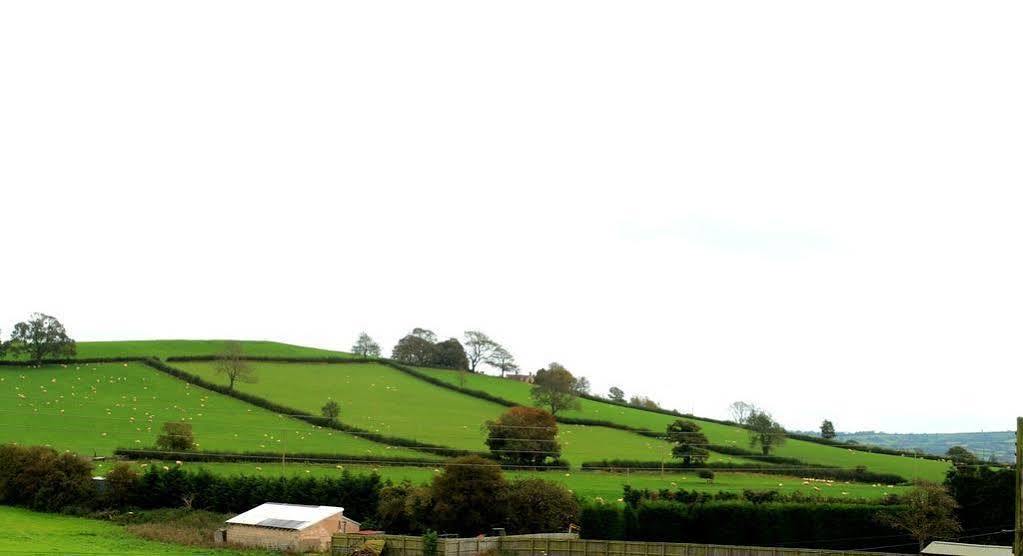 The Cannards Well Shepton Mallet Buitenkant foto